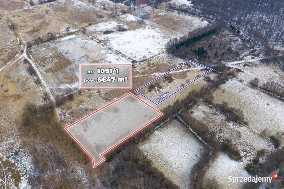 Działka rolna o pow 6647 m Świdnica