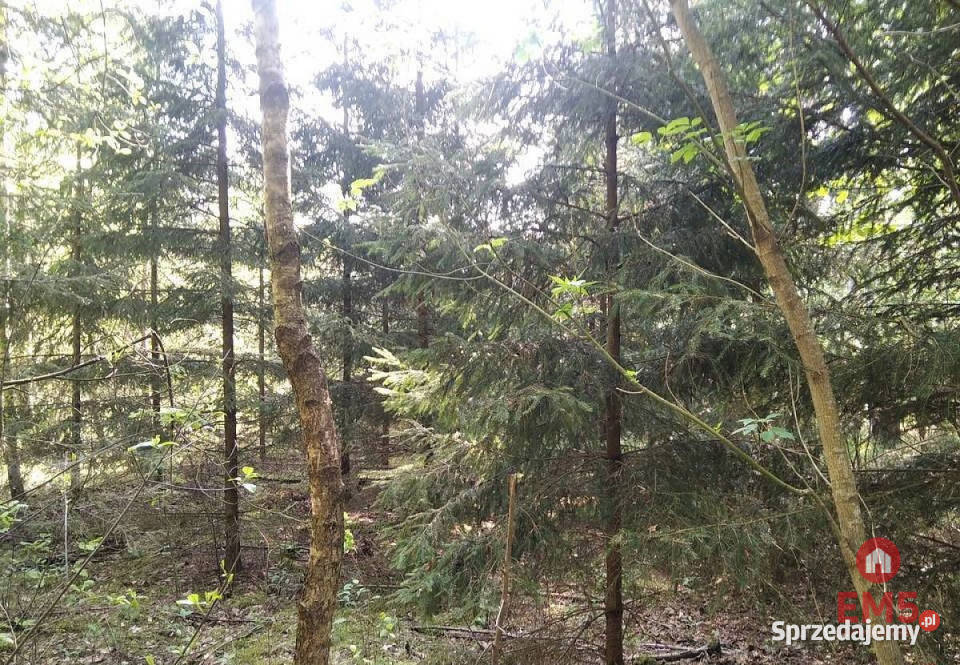 sprzedaży działki 1100m2 JankowoMłodzianowo 1100m2