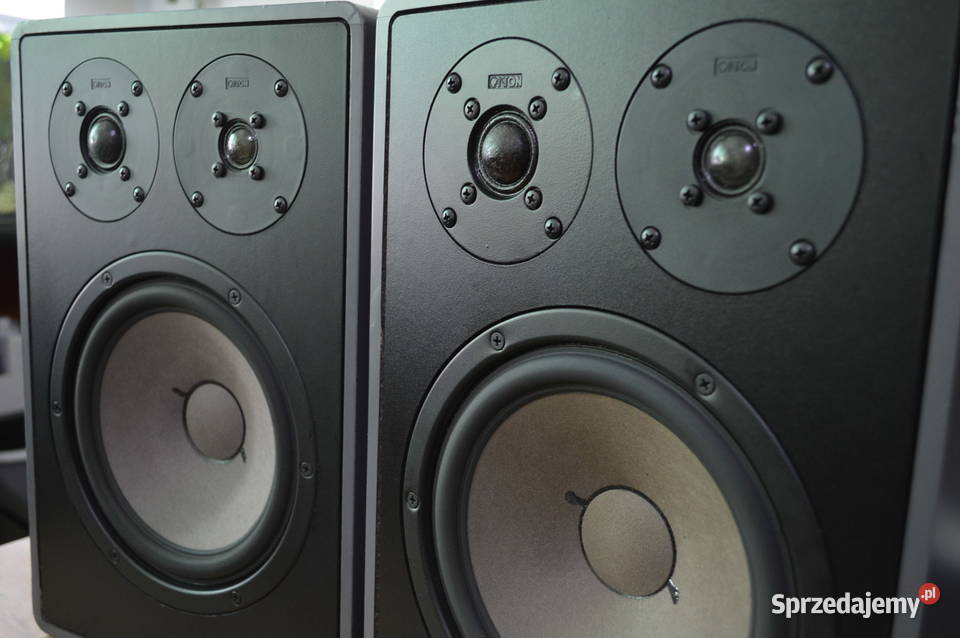 Fenomenalne CANTON FONUM 100 Perfekcyjne HiFi podkarpackie