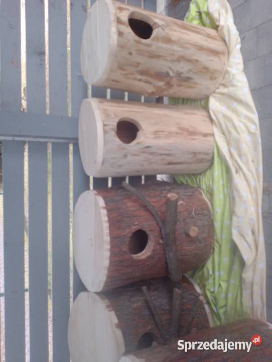 Budka lęgowa papug Dla ptaków Wodzisław Śląski