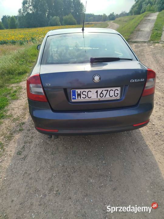 Skodę Scoda octavia II FL 19 TDI 105 Warszawa