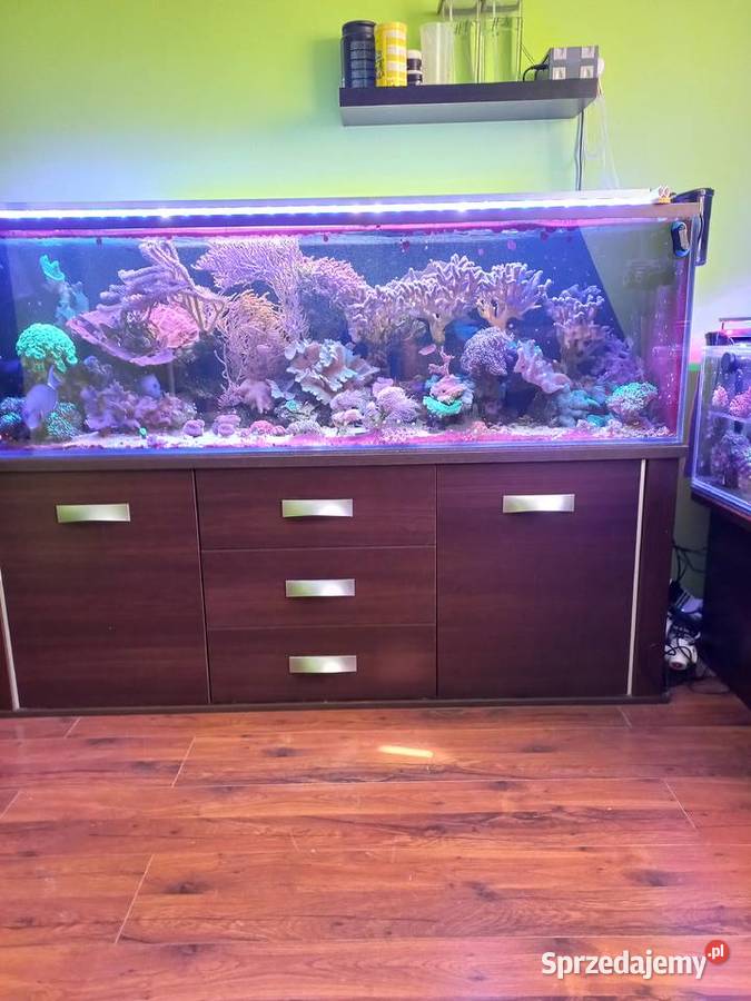 Akwarium morskie Sulęcin