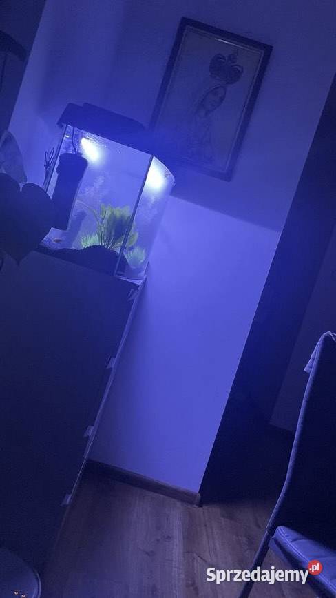 Lampa LED do akwarium 48 wodoodporna Warszawa