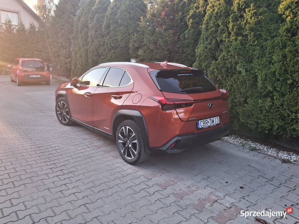 Lexus UH250H 184KM Kobyłka sprzedam