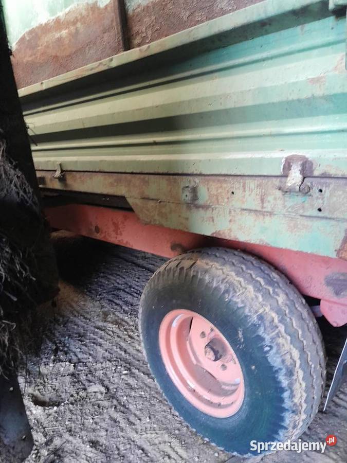 Rozrzutnik 8 tonowy przyczepa do kukurydzy Zimna