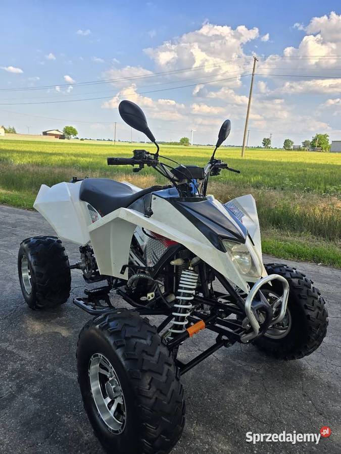 Quad Shineray Egl Bashan 250cc Ciecz Duża rama Kruszwica