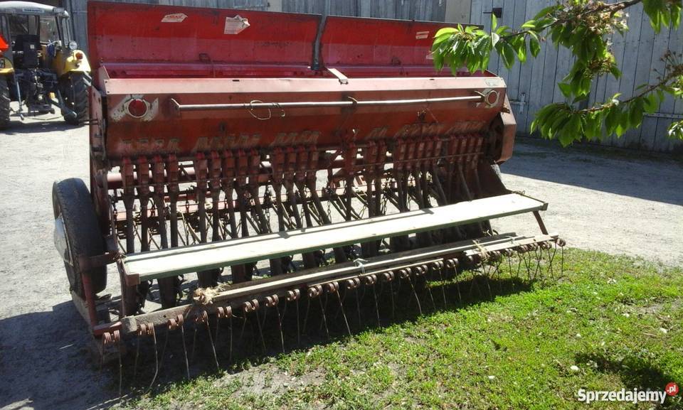 Siewnik poznaniak nie amazone nordsten hassia Mogilno