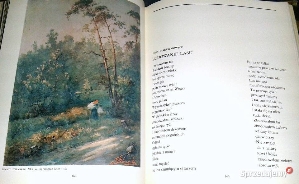 W głąb lasu Las w polskiej literaturze i sztuce sprzedam