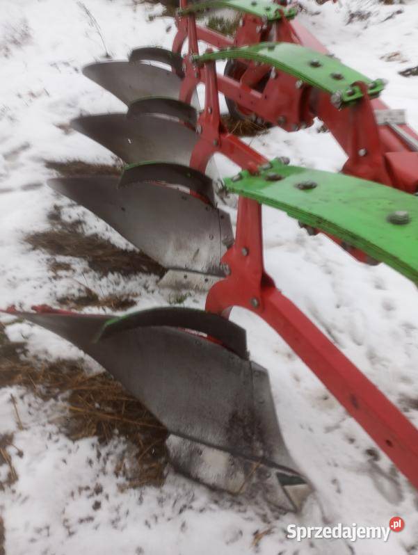 Plug zagonowy KOJA zagonowy 4 Grozimy sprzedam