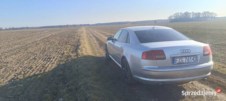 Audi A8 D3 V8 42tdi Niegosławice