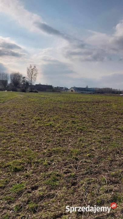 Sprzedam Działkę Kondrajec