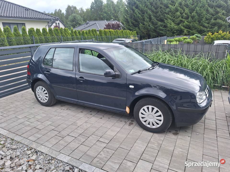 Golf 4 Golf Żary sprzedam
