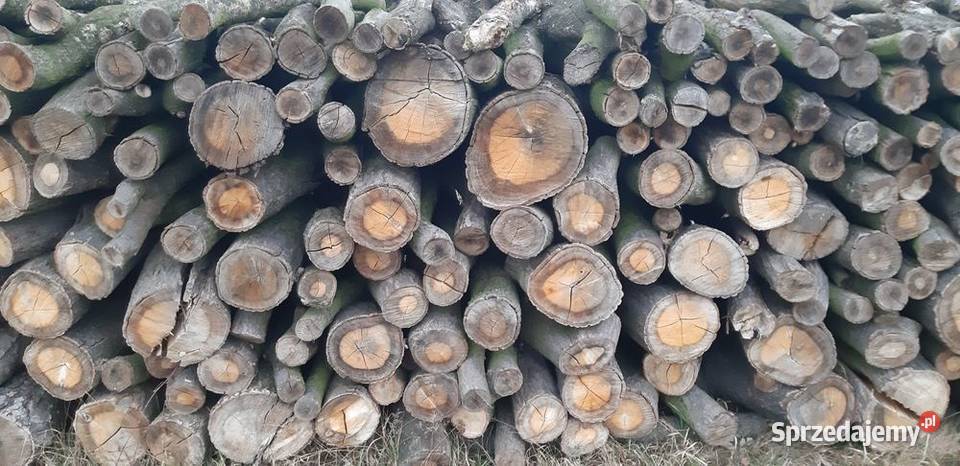 Drewno sprzedam