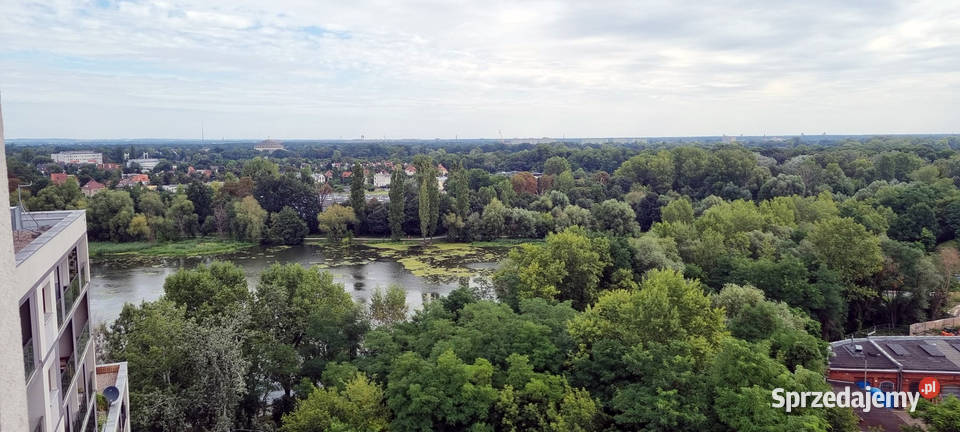 Wyjątkowy Przestronny Apartament Krzyki 77 m Liczba pokoi 3 dolnośląskie Wrocław