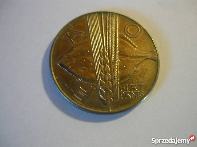 10 FAO śląskie Myszków