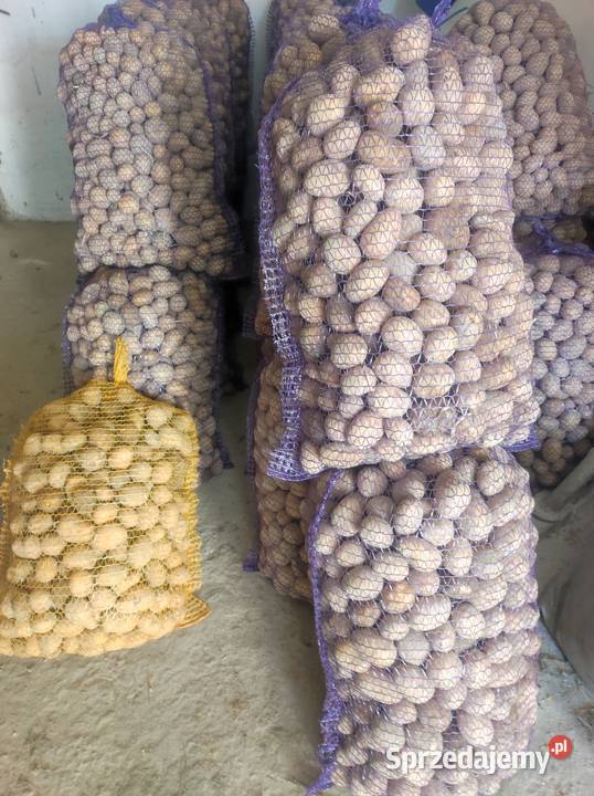 Sprzedam ziemniaki odmiany soraja Olkusz