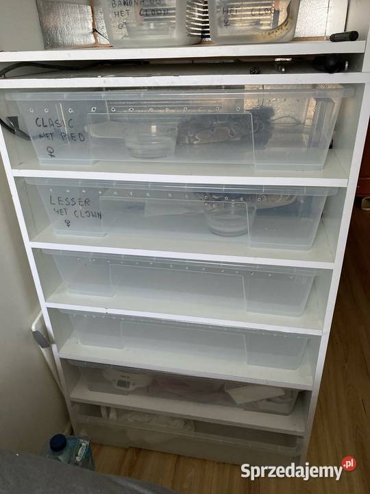 Rack system na duże węże Gady i płazy Puławy sprzedam