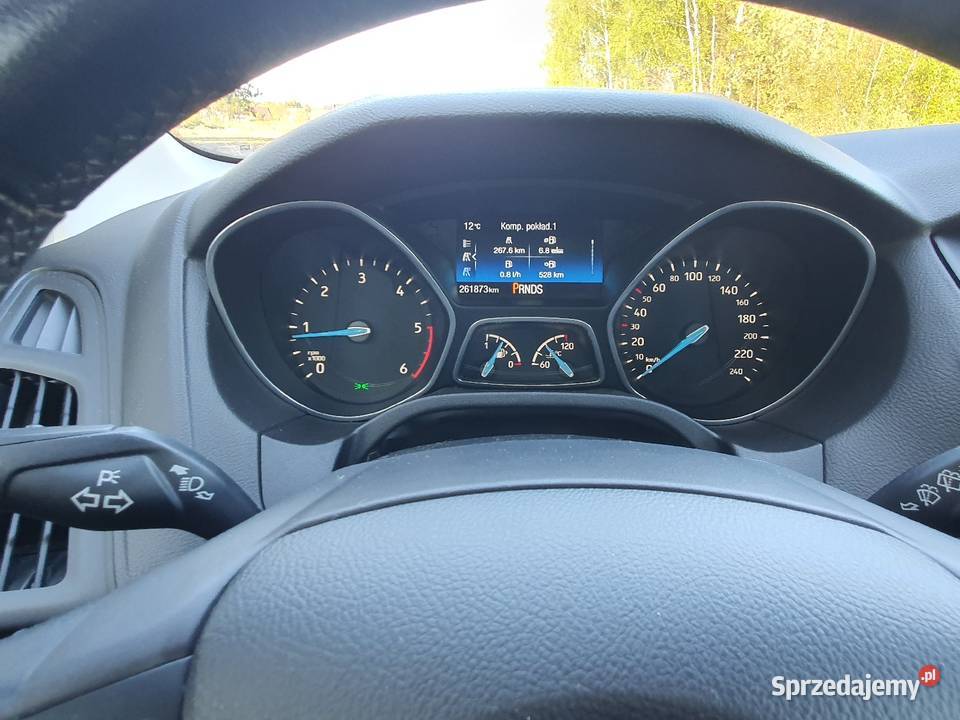 Ford Focus 20 Tdci 150 2017 Bezwypadkowy automat 1991cm3