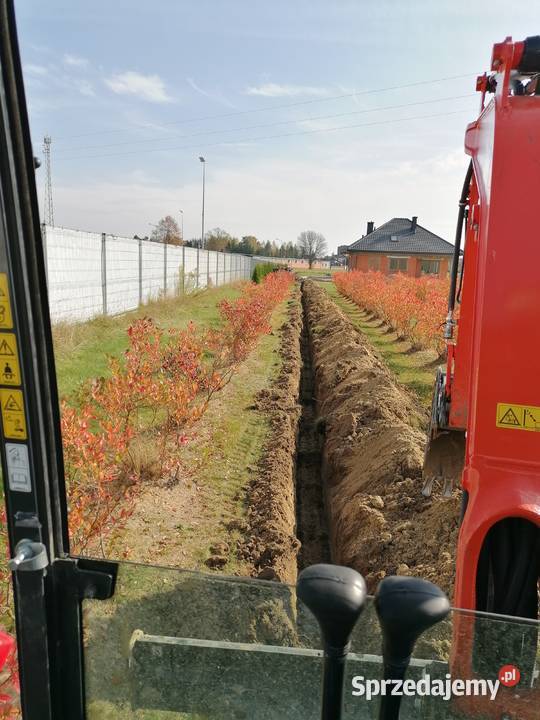 Usługi minikoparka koparka wykopy Terespol