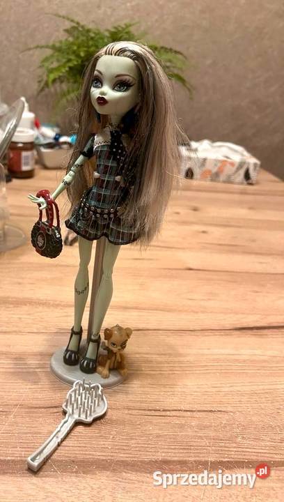 Lalka Monster High Frankie Stein z akcesoriami dolnośląskie Bielany Wrocławskie