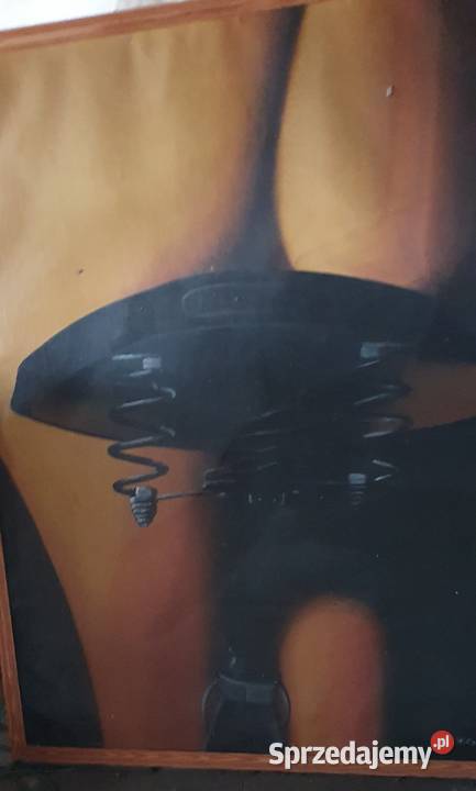 Obraz siodełko rowera Wieliczka sprzedam