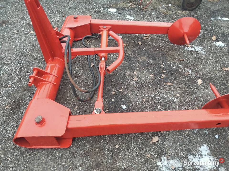 Sipma rozmarynrozwijak bel Zbuczyn