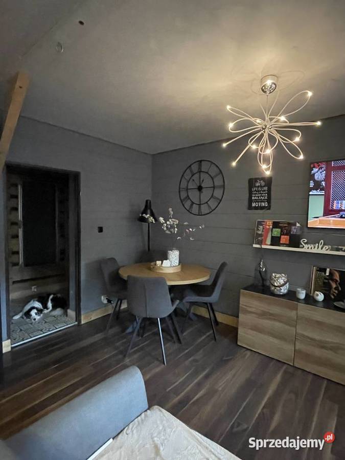 Dom 230 m2 apartamenty x 3 uzdrowisko cisza Piwniczna-Zdrój