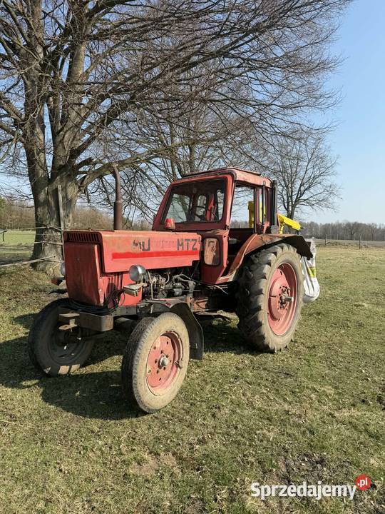 Sprzedam ciągnik mtz 80 Grzymalin sprzedam