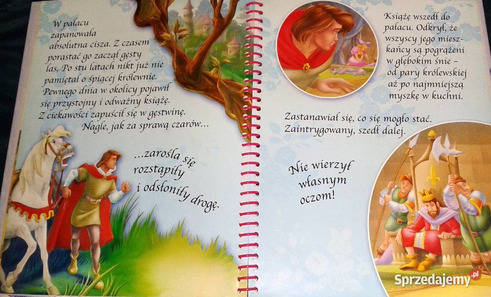 Baśniowy pałac Śpiąca królewna Czytaj i buduj Pozostałe lubelskie sprzedam