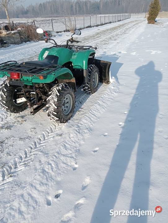 Sprzedam quada 650 2 cylindry przyczepka i spych 650cm3 Bełchatów