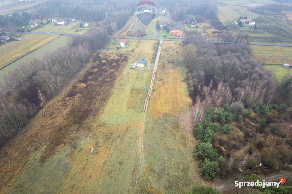 Działa Gaj Żelechowski Sprzedaż