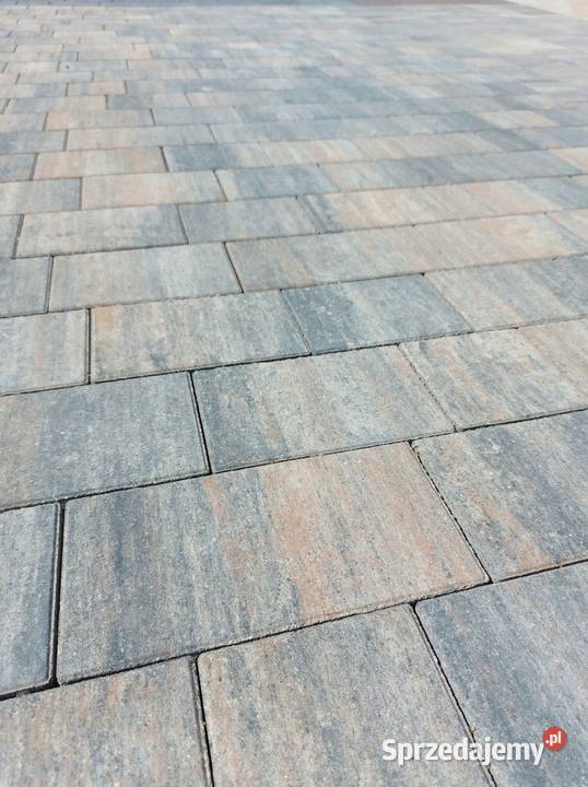 Cement Kostka brukowa Obrzeza Cementy, wapno i kruszywo Sobakówek