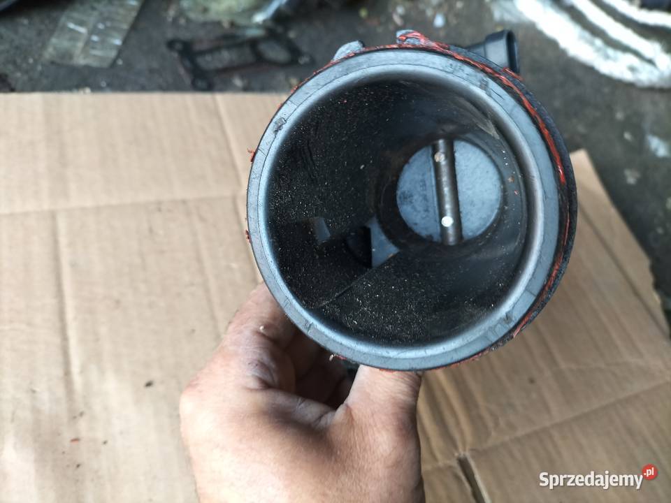 PRZEPUSTNICA RENAULT KANGOO THALIA I 14 osobowe