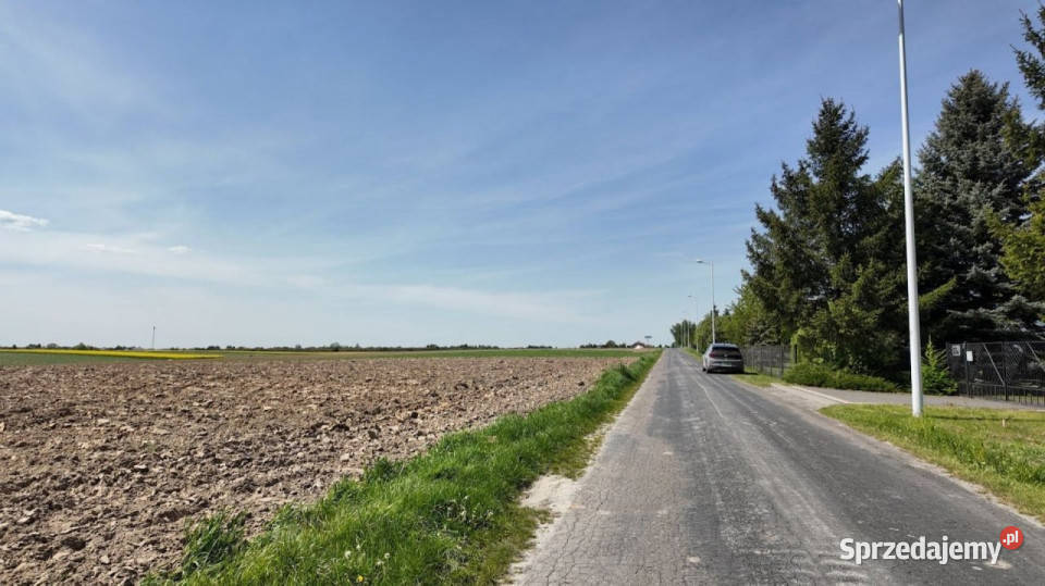sprzedaży działki 4486m Charlęż