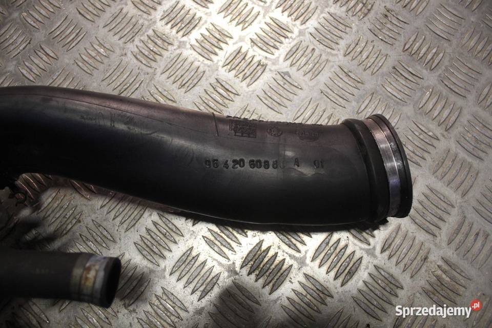 RURA DOLOT POWIETRZA PEUGEOT 307 20 HDI wielkopolskie