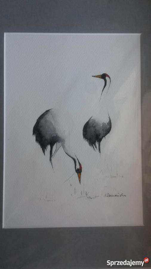 Żurawie symbol szczęścia akwarelka Warszawa