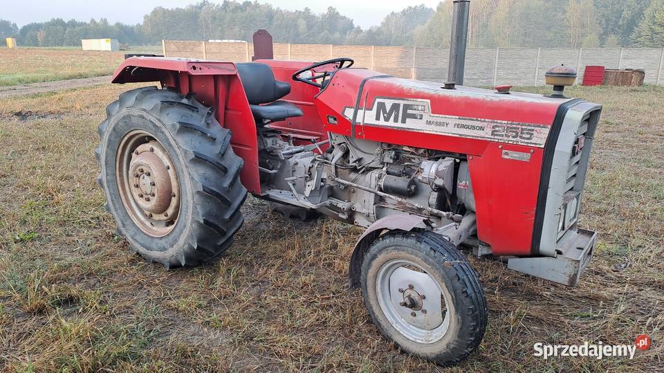 Massey Ferguson 255 Oryginał Anglik Nieczajna Górna