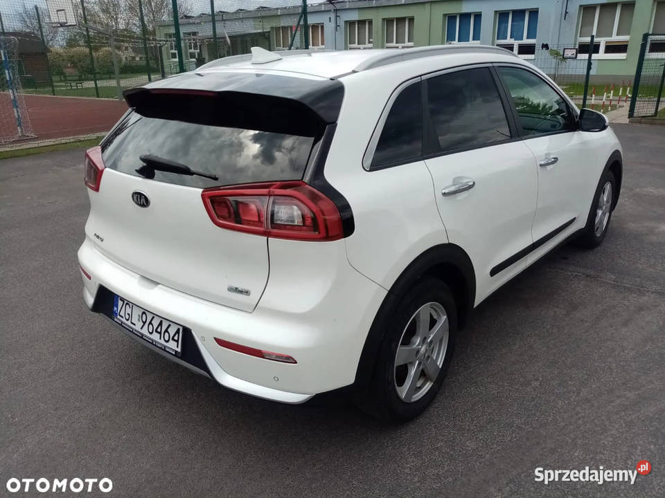 Kia Niro hybryda hybryda Samochody osobowe Goleniów sprzedam