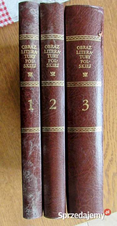 Literatura polska 18841934 KCZACHOWSKIEGI Bychawka Trzecia