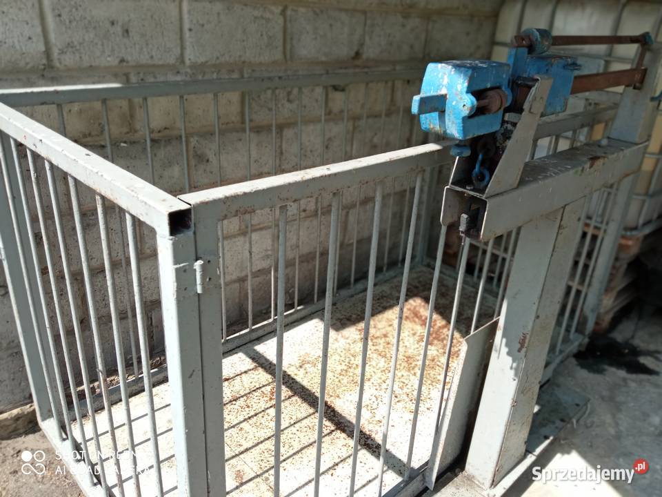 Waga inwentarzowa do bydła trzody Przełaj Czepiecki sprzedam