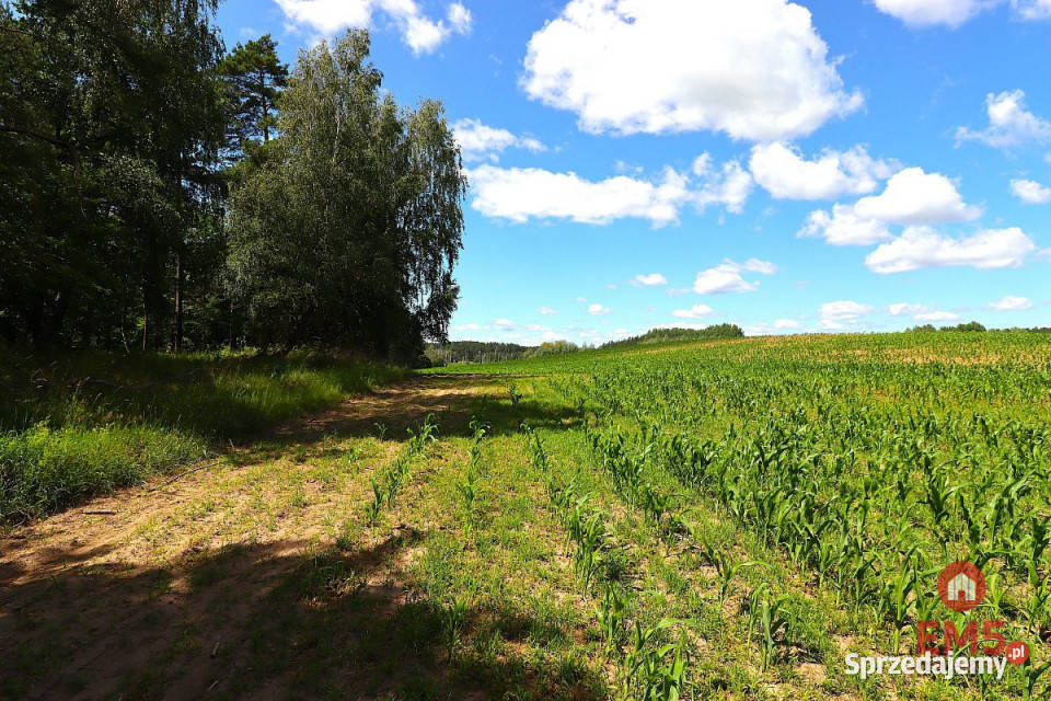 Działka 1100m2 Rożyńsk Wielki