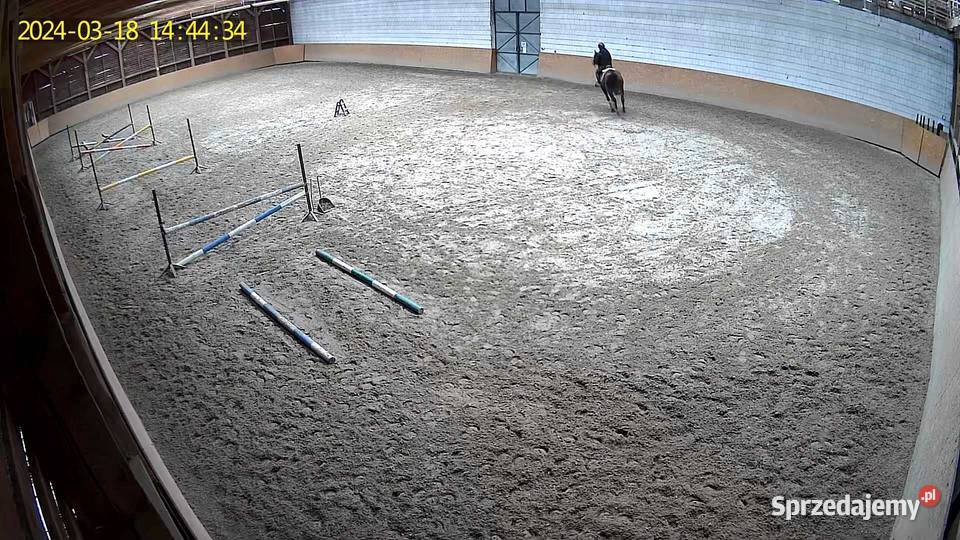 Ośrodek jeździecki stajnia pensjonat hotel koni Bodzanów sprzedam
