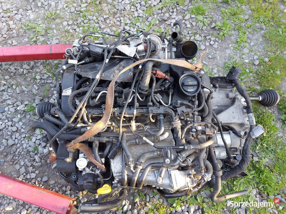 Silnik KOMPLETNY 16TDI 115 DGT DGTE Octavia 3 Tychy