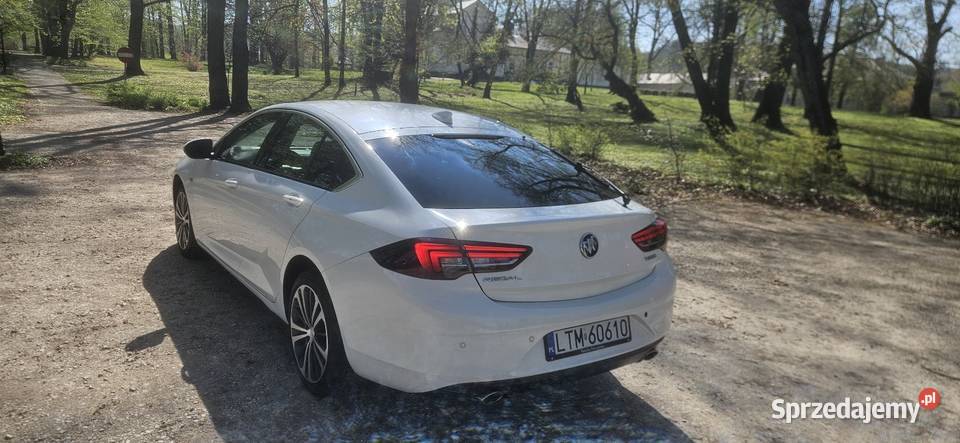 Opel insignia 2019 20turbo benzyna 270 automat podkarpackie Dębica