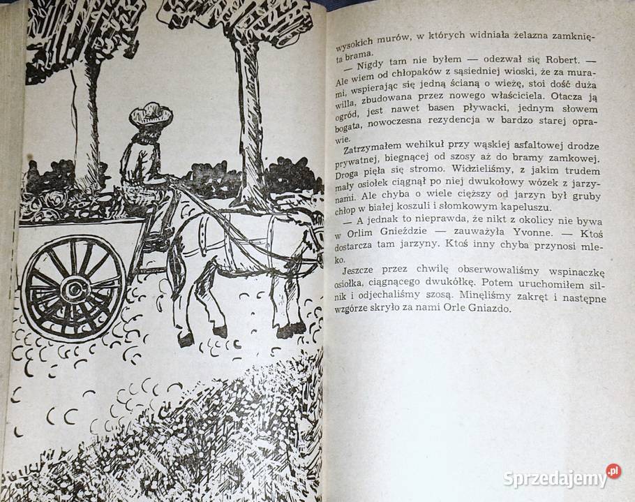 Pan Samochodzik i Fantomas Zbigniew Nienacki Pozostałe Chełm