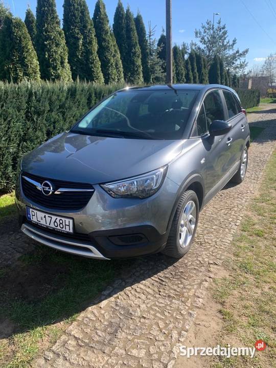 Opel crossland x elektryczne lusterka Jezierzyce Kościelne sprzedam
