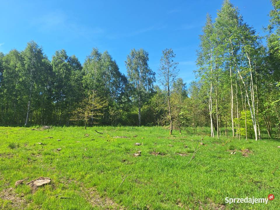 Działki w Małej Kamienicy sprzedam