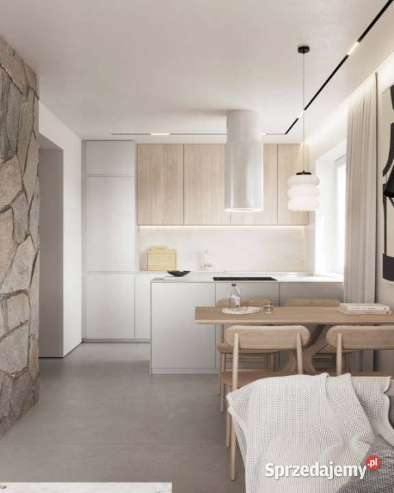 Dom z ogromnym potencjałem inwestycyjnym Wisła blacha