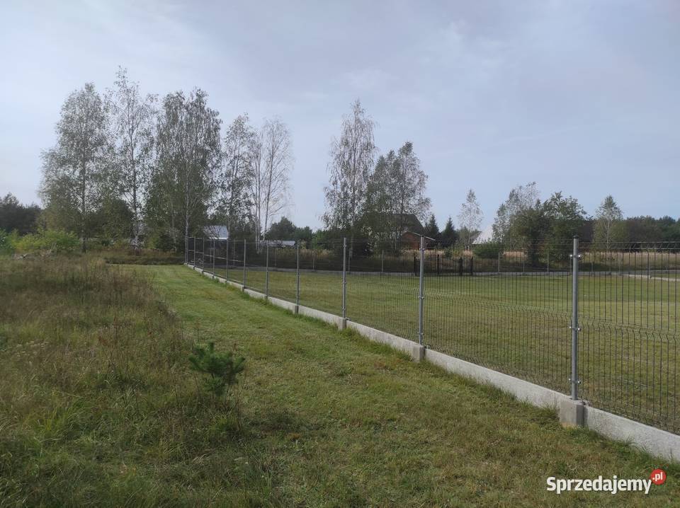 Dwie działki budowlane ogrodzone Płaska 16326 Sprzedaż podlaskie Zambrów