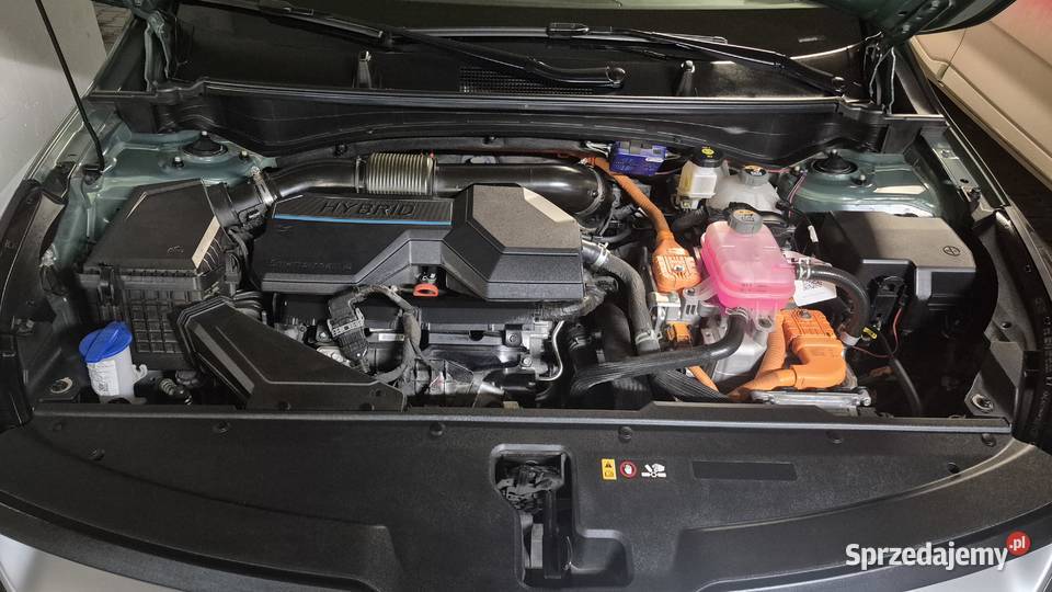 Kia Sportage HEV 230 Nowa